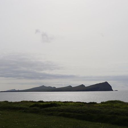 Ballydavid The Old Pier Guest Accommodation, Bed Only, No Breakfast מראה חיצוני תמונה